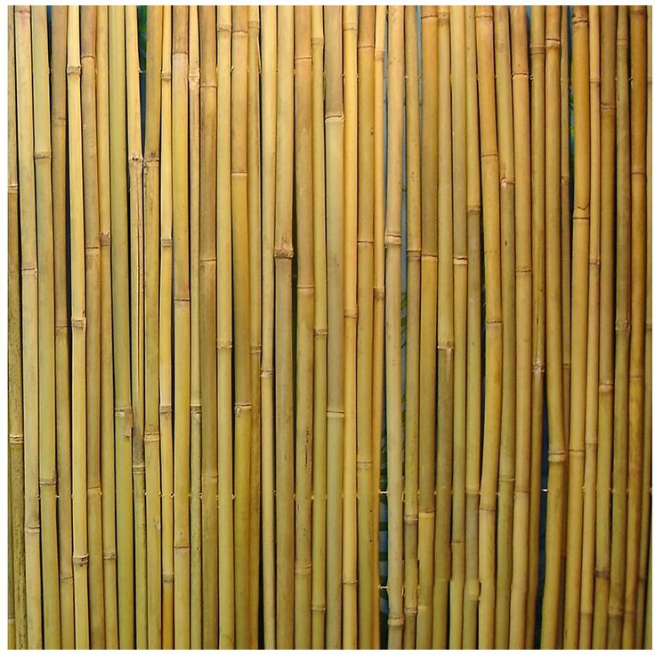 Bambuaita Home4you In Garden 150x300 cm
