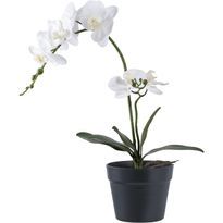 Tekokasvi House Nordic Orkidea, 49cm, valkoinen/vihreä