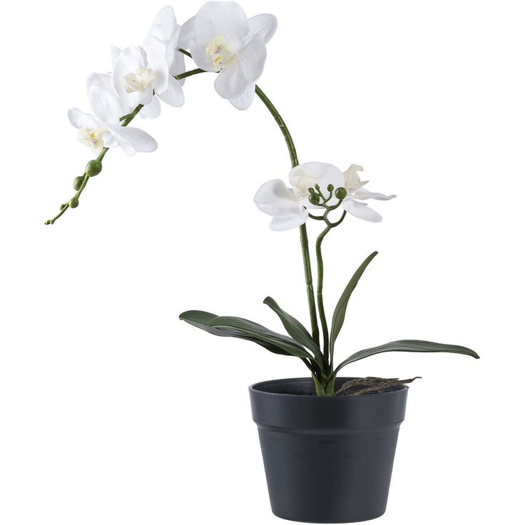 Tekokasvi House Nordic Orkidea, 49cm, valkoinen/vihreä