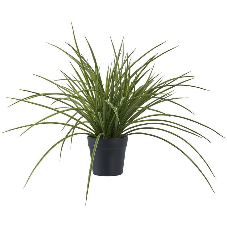 Tekokasvi House Nordic Ruoho, 45cm, vihreä