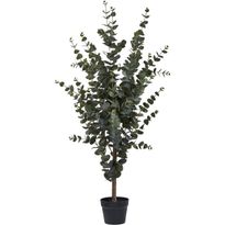 Tekokasvi House Nordic Eukalyptuspuu, 120cm, vihreä