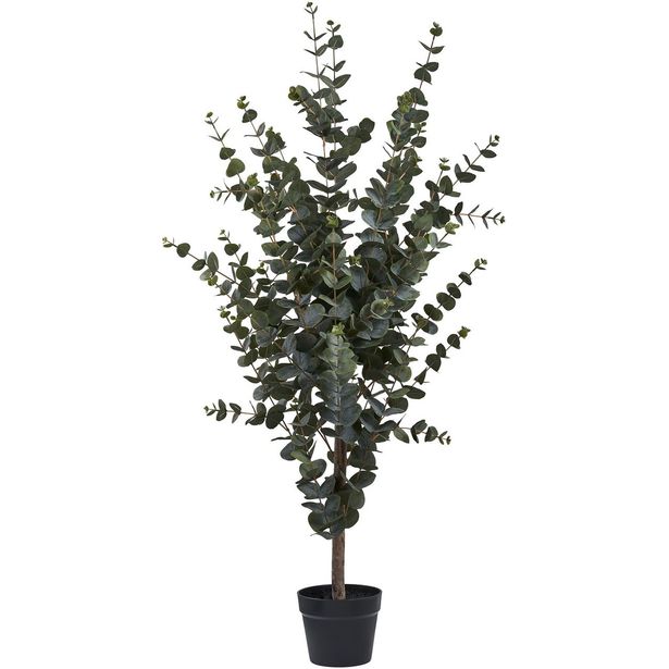 Tekokasvi House Nordic Eukalyptuspuu, 120cm, vihreä