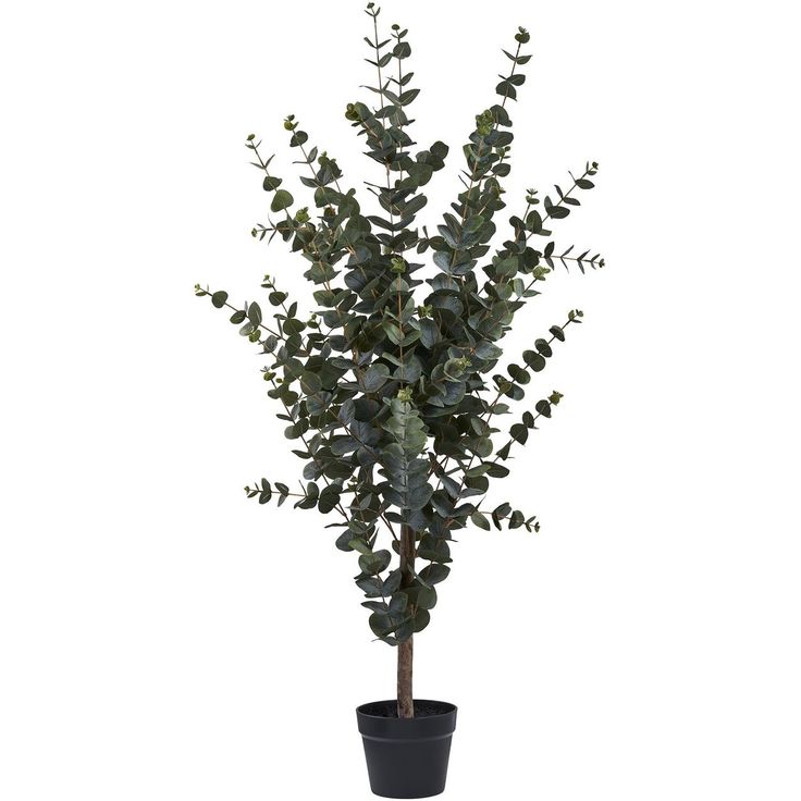 Tekokasvi House Nordic Eukalyptuspuu, 120cm, vihreä