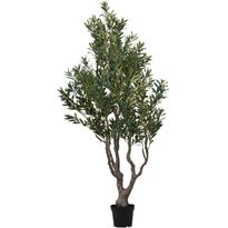 Oliivipuu House Nordic Olive