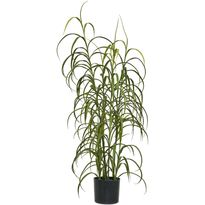 Tekokasvi House Nordic, 68cm, vihreä