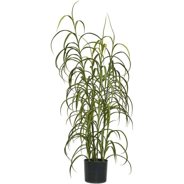 Tekokasvi House Nordic, 68cm, vihreä