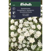 Neidonharson siemenet Weibulls spetsblomster
