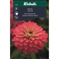 Zinnia Sahara Salmon Rose
