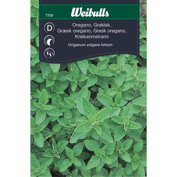 Oregano Weibulls kreikkalainen siemenet