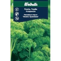 Persilja Weibulls Moss Speedseed siemenet