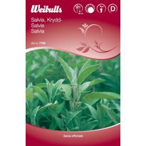 Salvian siemenet Weibulls mauste