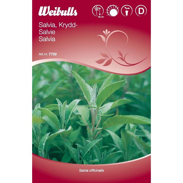 Salvian siemenet Weibulls mauste