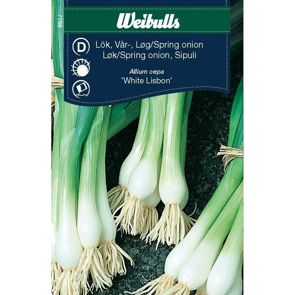 Sipuli Weibulls ruohosipuli White Lisbon siemenet