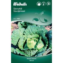 Kaalinsiemenet Weibulls keräkaali Savoy