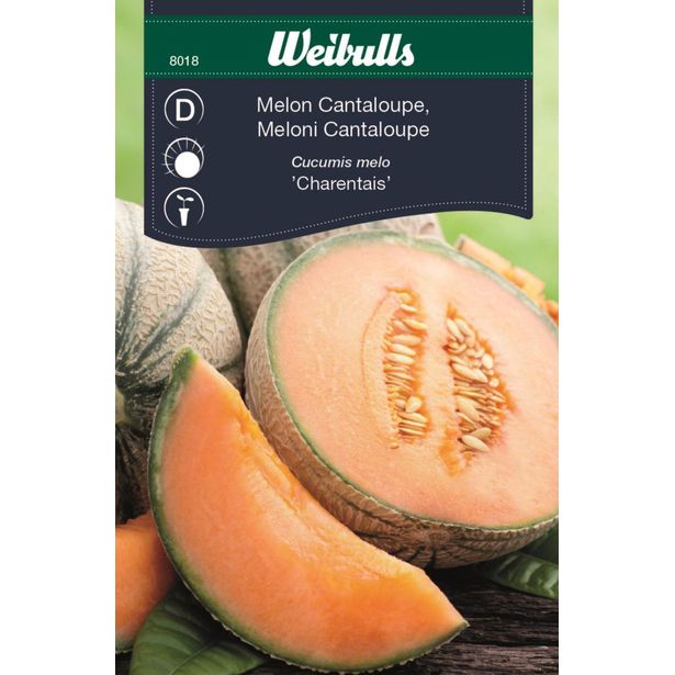 Meloni Weibulls cantaloupe siemenet