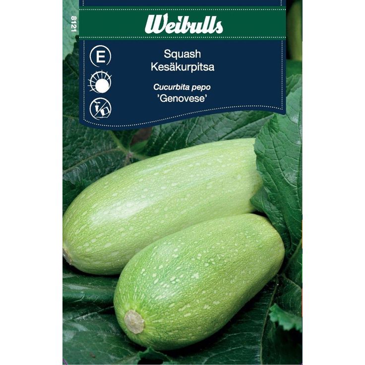 Kesäkurpitsan siemenet Weibullsgenovese