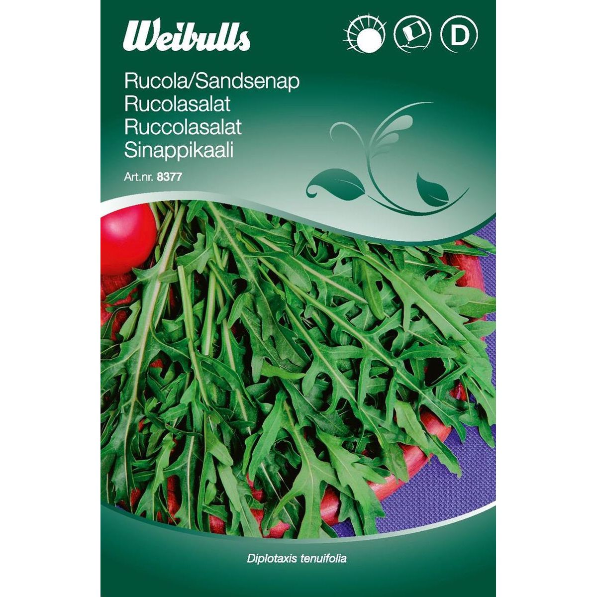 Rucola Weibulls hietasinappi siemenet