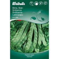 Papu Weibulls leikkopapu matala siemenet