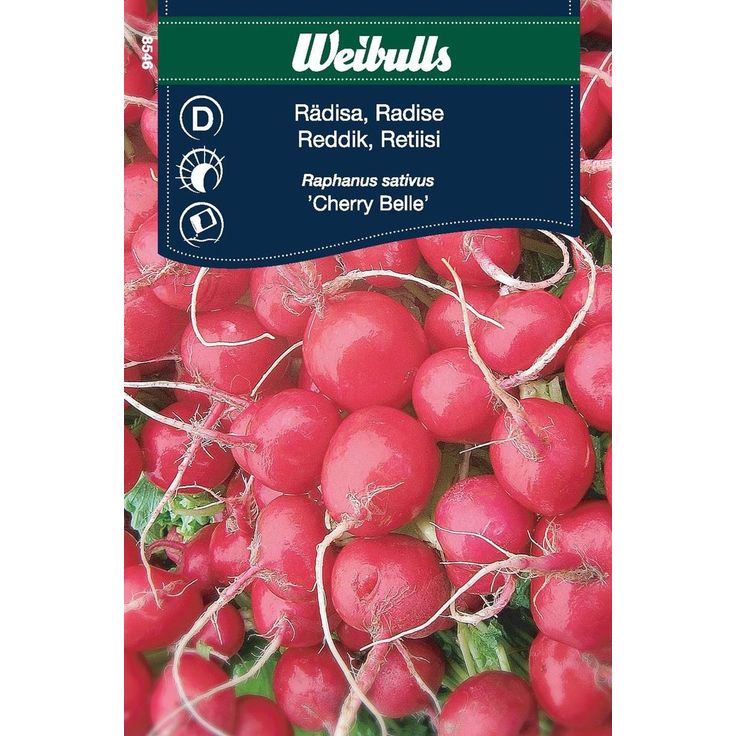 Retiisin siemenet Weibulls Cherry Belle
