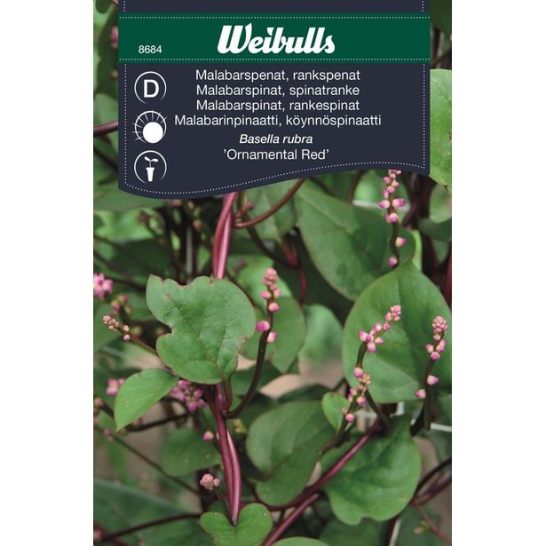 Pinaatin siemenet Weibulls Malabar