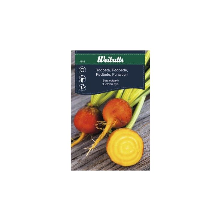 Punajuuri Weibullsgolden Eye keltainen siemenet