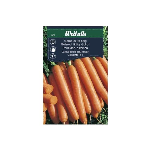 Porkkana Weibulls erittäin aikainen siemenet