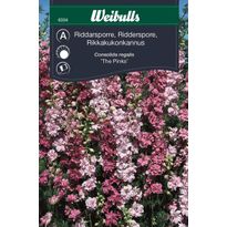 Rikkakukonkannus Weibulls The Pinks siemenet