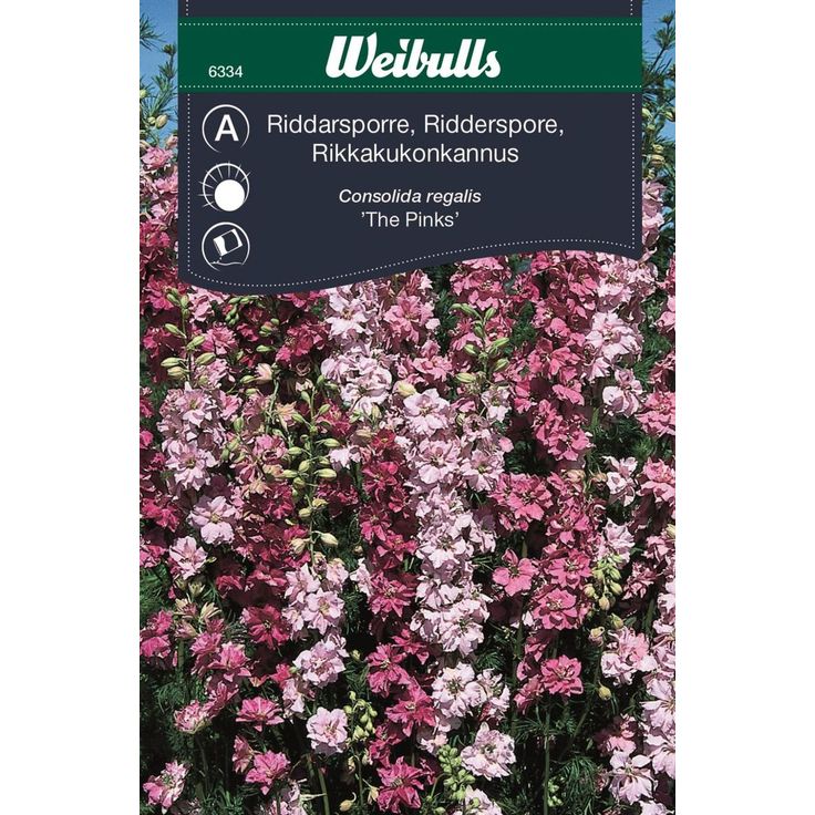 Rikkakukonkannus Weibulls The Pinks siemenet