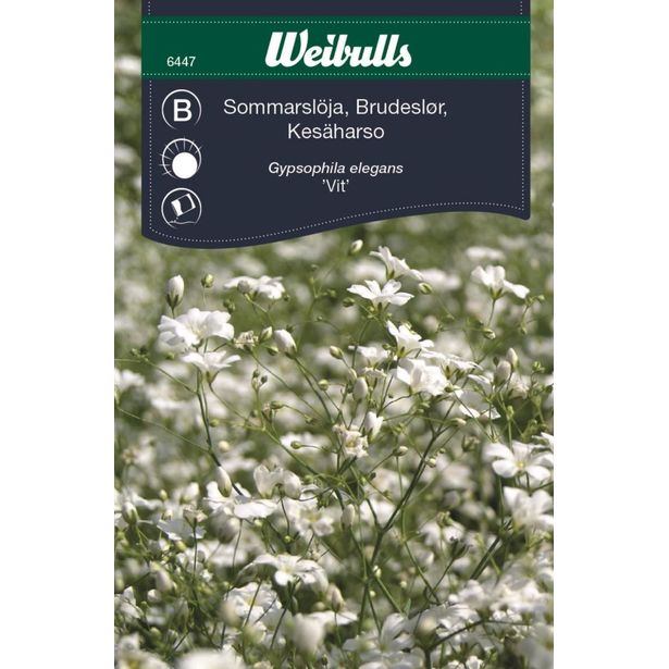 Kesäharsokukan siemenet Weibulls sommarslöja