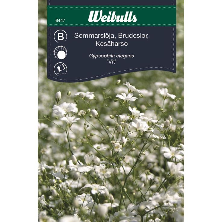 Kesäharsokukan siemenet Weibulls sommarslöja