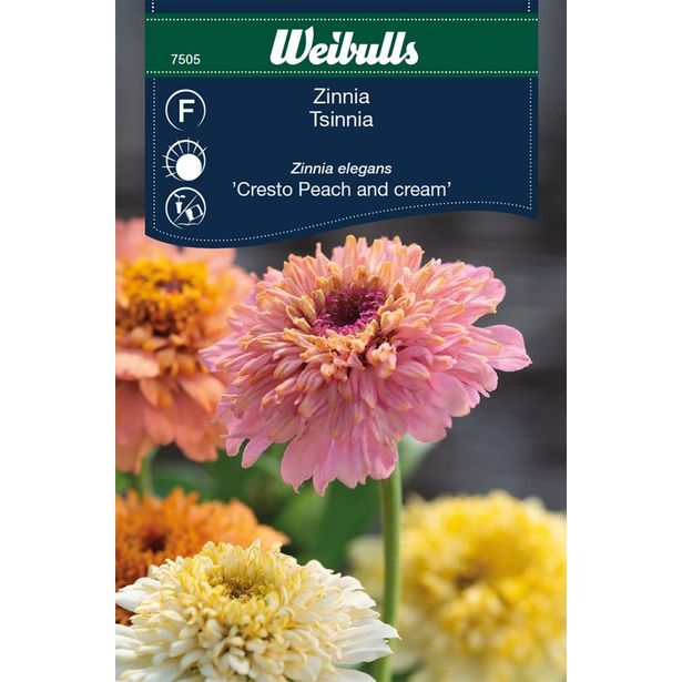 Zinnia Weibulls Elegans P&C Frö