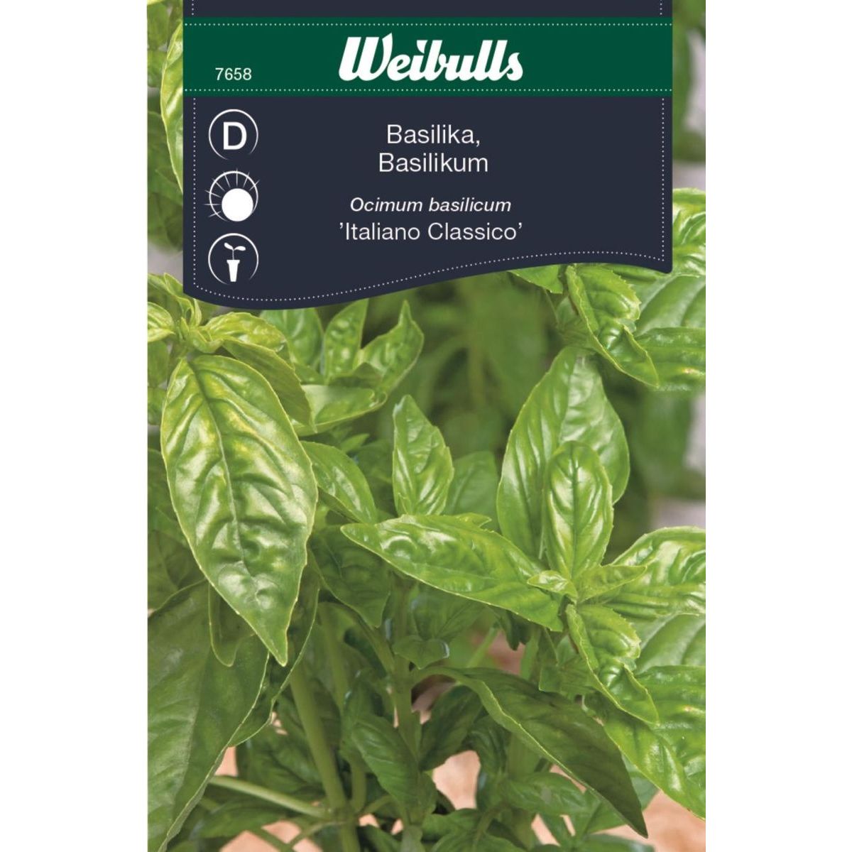 Basilika Weibulls Italiano Classic siemenet