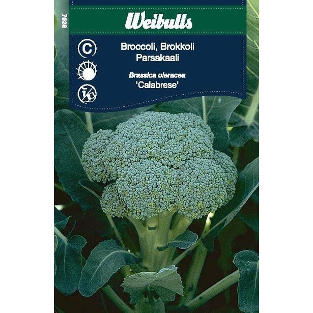 Kaalinsiemenet Weibulls parsakaali