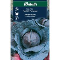 Kaalinsiemenet Weibulls punakaali