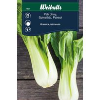 Kaalinsiemenet Weibulls pak choi