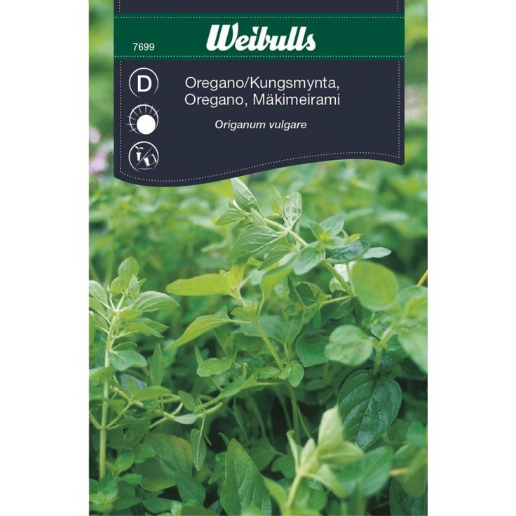 Oregano Weibulls kuningasmeirami siemenet