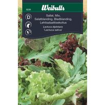 Salaatin siemenet Weibulls baby leaf mix