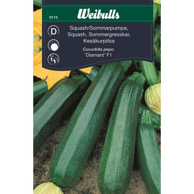 Kesäkurpitsan siemenet Weibulls vihreä