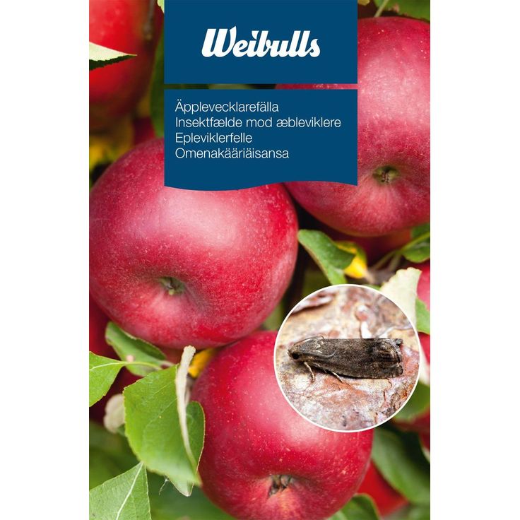 Omenakääriäisansa Weibulls