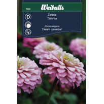 Zinnia Weibulls Dream Lavender Frö
