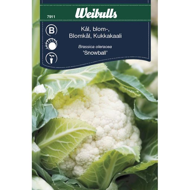 Kaalinsiemenet Weibulls kukkakaali
