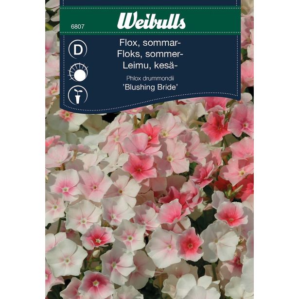 Floksi Weibulls Blushing Bride