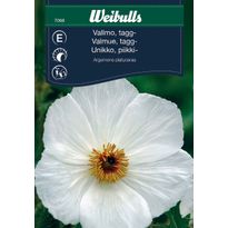 Piikikäs unikko Weibulls Frö