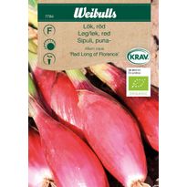Sipuli Weibulls punasipuli KRAV siemenet