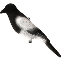 Houkutuslintu 5etta Harakka