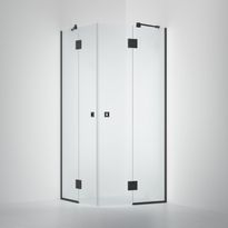 Suihkunurkka INR Arc 16 Frame, kirkas Timeless-lasi, mittatilaus