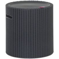 Jakkara/kylmälaukku Cool Stool, säilytyksellä, 39L, musta