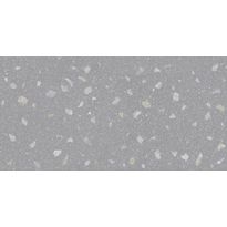 Seinälaatta GoldenTile Joy Terrazzo, 30x60cm, harmaa