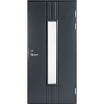 Ulko-ovi Swedoor Function F2050 W28, 10x21, tummanharmaa, satiinilasi