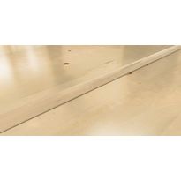 Koivu - Lakattu (7029024BJ50)